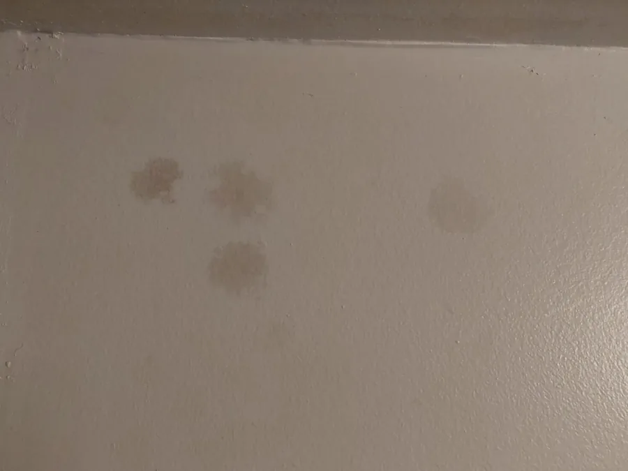 Mold spots on a bathroom ceiling above the tub